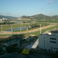 Macau Horse Race