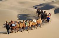 Silk Road Tours