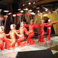 Shanghai Acrobatics Show