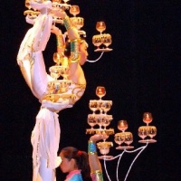 Shanghai Acrobatics Show