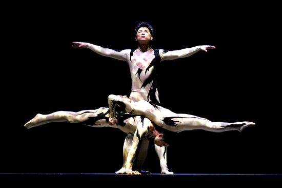 Shanghai Acrobatics Show