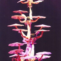 Shanghai Acrobatics Show