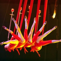 Acrobatics Show, Shanghai Tours