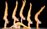 Shanghai Acrobatics Show