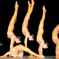 Shanghai Acrobatics Show