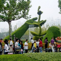 Century Park, Shanghai Tours