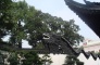 Yu Garden