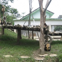 Bifengxia panda base