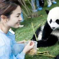 Chengdu Research Base of Giant Panda Breeding