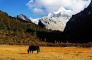 Yading Natural Reserve