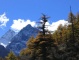 Yading Natural Reserve