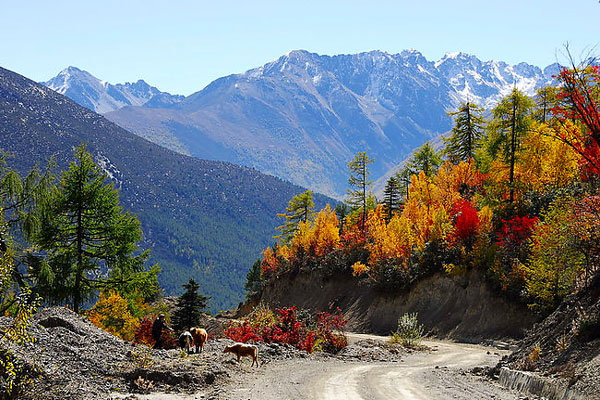 Yading Natural Reserve