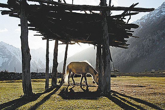 Yading Natural Reserve