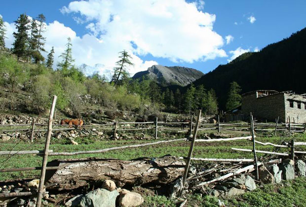 Yading Natural Reserve