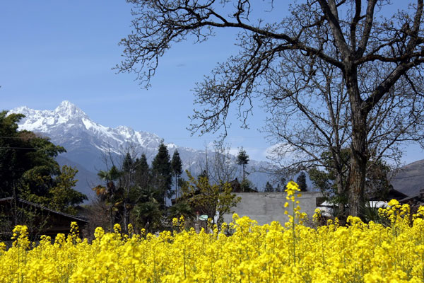 Hailuogou valley