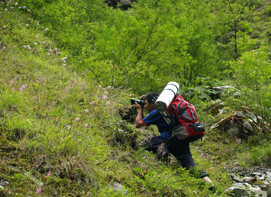 China Hailuogou Valley