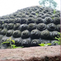 Leshan Giant Buddha, Sichuan Tours