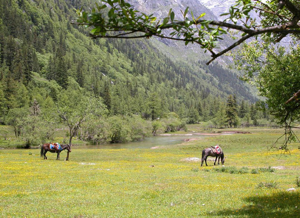 Siguniang Mountains Scenic Area