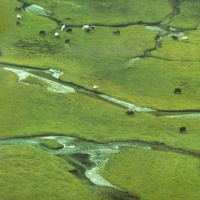 Siguniang Mountains Scenic Area