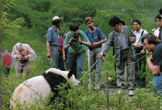 Wolong Nature Reserve