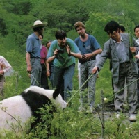 Wolong Nature Reserve