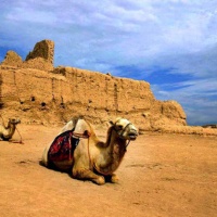 Anciet Gaochang City Xinjiang, Silk Road Tours