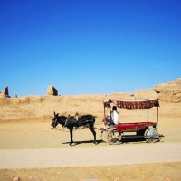 Anciet Gaochang City Xinjiang, Silk Road Tours