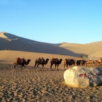 Echoing-Sand Mountain Dunhuang, Silk Road Tours