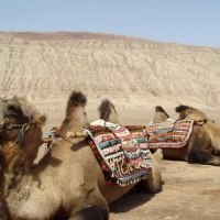 Flaming Mountain Turpan, Xinjang Silk Road Tours