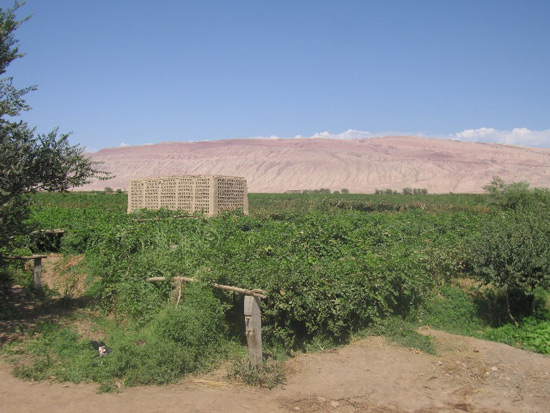 Grape Valley