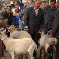 Kashgar Grand Bazaar, Xinjiang Silk Road Tours