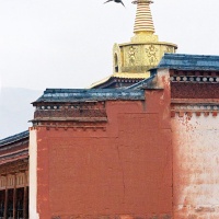 Labrang Monastery Xiahe, Gansu Tours