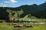 Urumqi Nanshan Grasslands