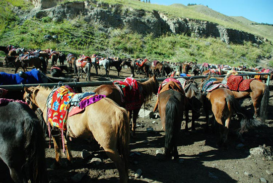 Urumqi Nanshan Grasslands