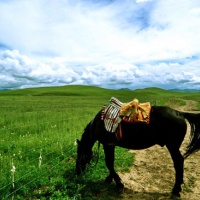 Xiahe