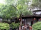 Garden of Pleasance, Suzhou Garden