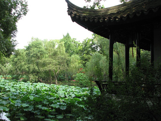 Humble Adiministrator's Garden, Garden View Suzhou