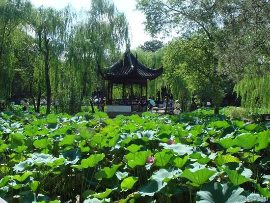 Humble Adiministrator's Garden, Garden View Suzhou