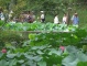 Humble Adiministrator's Garden, Garden View Suzhou