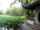 Humble Adiministrator's Garden, Garden View Suzhou