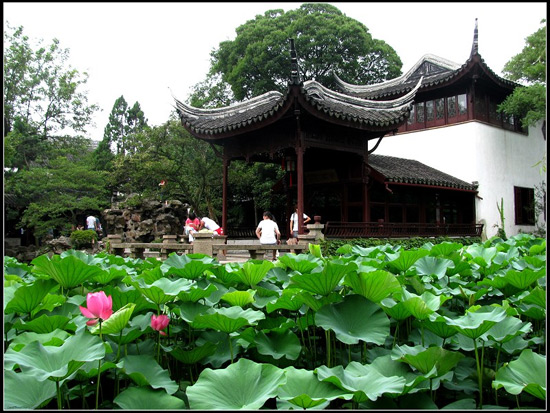 Humble Adiministrator's Garden, Garden View Suzhou