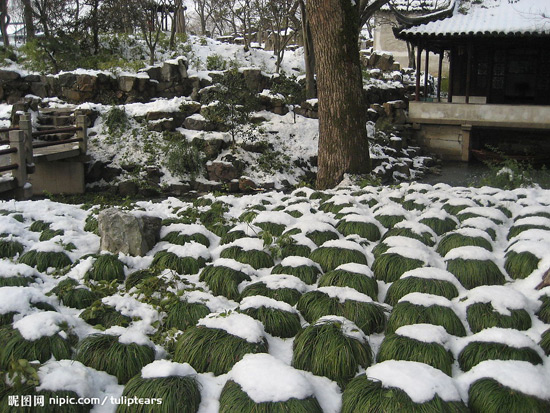 Lingering Garden, Suzhou Garden