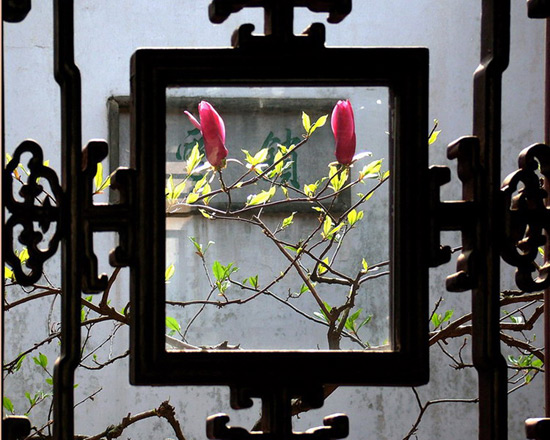 Master of the Nets Garden, Garden View Suzhou