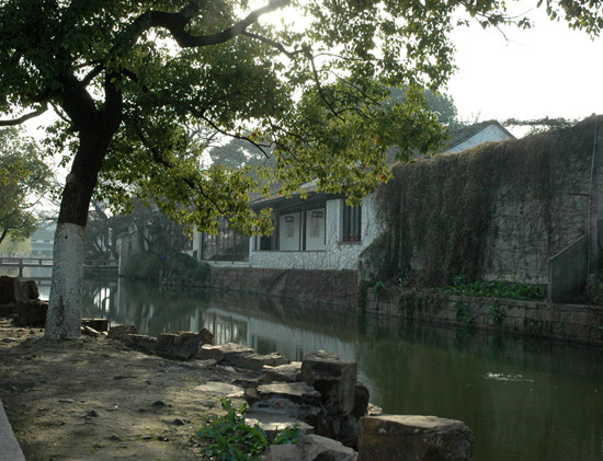 Surging Wave Pavilion