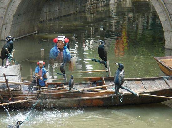 Tongli Old Town