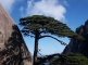 Huangshan