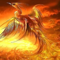 Chinese Phoenix