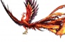 Chinese Phoenix