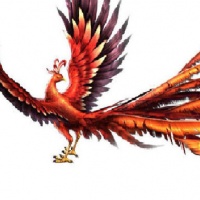 Chinese Phoenix