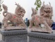 Chinese Qilin